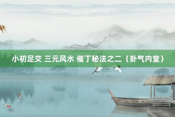 小初足交 三元风水 催丁秘法之二（卦气内堂）