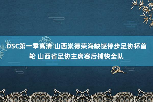 DSC第一季高清 山西崇德荣海缺憾停步足协杯首轮 山西省足协主席赛后捕快全队