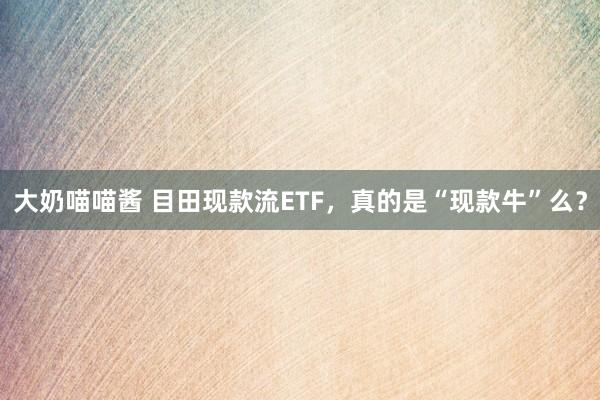 大奶喵喵酱 目田现款流ETF，真的是“现款牛”么？