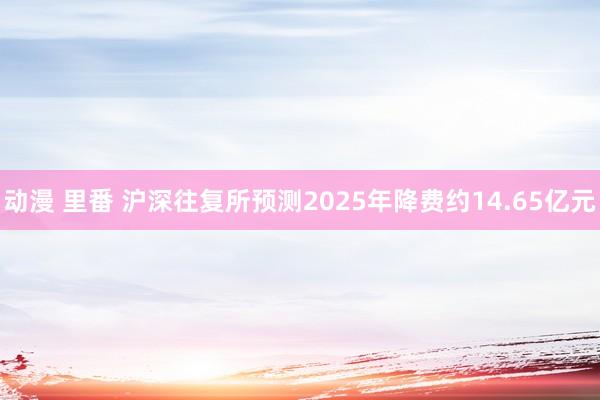 动漫 里番 沪深往复所预测2025年降费约14.65亿元