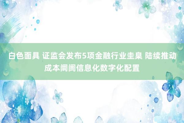 白色面具 证监会发布5项金融行业圭臬 陆续推动成本阛阓信息化数字化配置