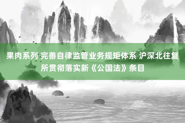 果肉系列 完善自律监管业务规矩体系 沪深北往复所贯彻落实新《公国法》条目