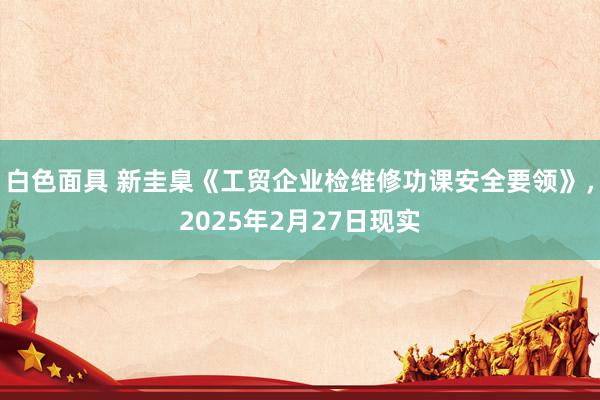 白色面具 新圭臬《工贸企业检维修功课安全要领》，2025年2月27日现实