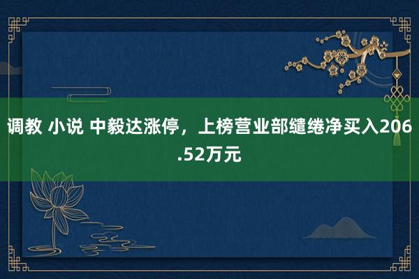 调教 小说 中毅达涨停，上榜营业部缱绻净买入206.52万元