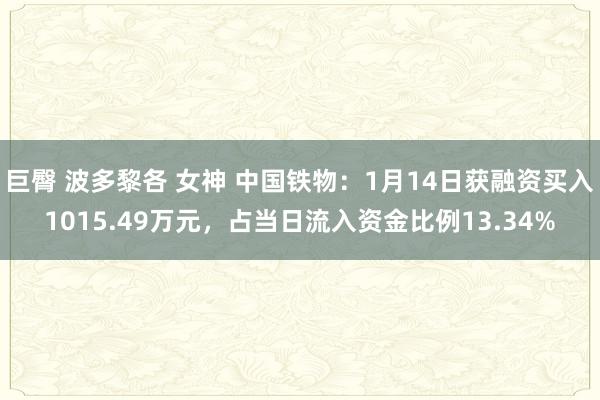 巨臀 波多黎各 女神 中国铁物：1月14日获融资买入1015.49万元，占当日流入资金比例13.34%