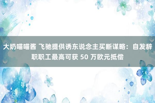 大奶喵喵酱 飞驰提供诱东说念主买断谋略：自发辞职职工最高可获 50 万欧元抵偿