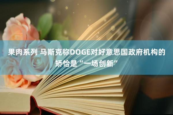 果肉系列 马斯克称DOGE对好意思国政府机构的矫恰是“一场创新”