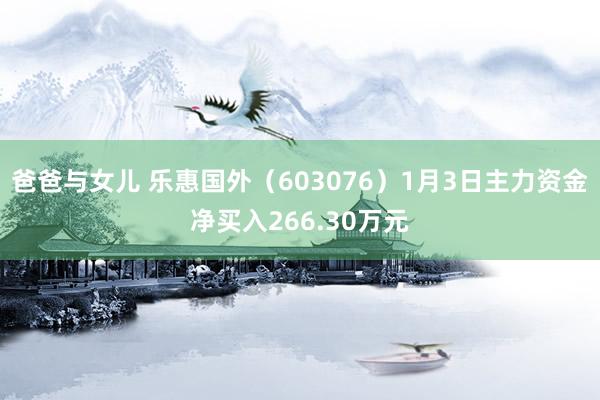 爸爸与女儿 乐惠国外（603076）1月3日主力资金净买入266.30万元