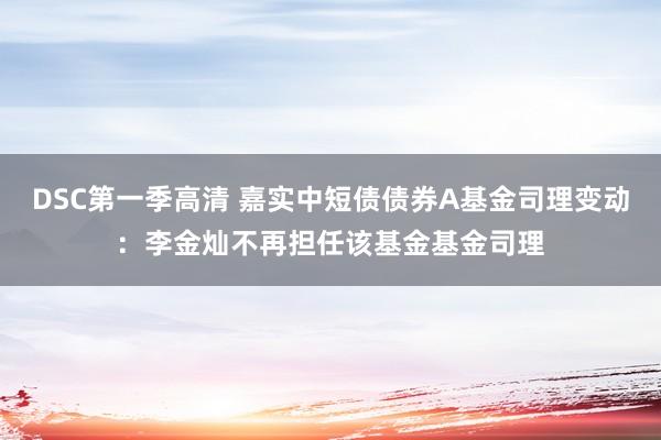DSC第一季高清 嘉实中短债债券A基金司理变动：李金灿不再担任该基金基金司理