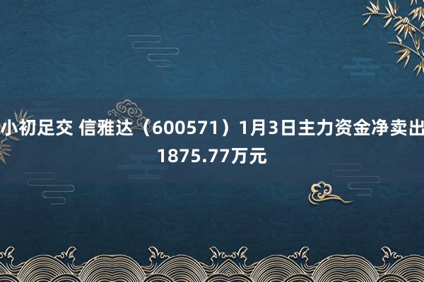 小初足交 信雅达（600571）1月3日主力资金净卖出1875.77万元