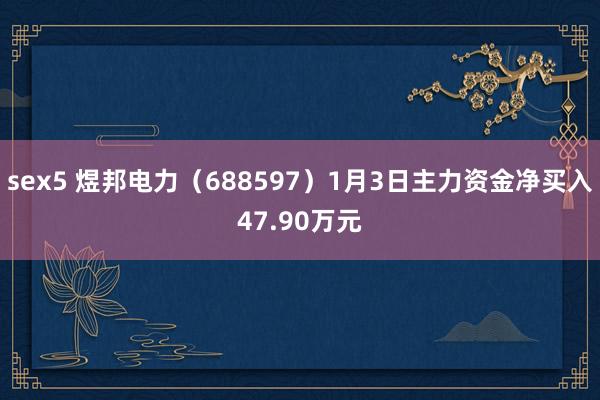 sex5 煜邦电力（688597）1月3日主力资金净买入47.90万元