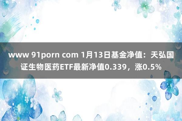 www 91porn com 1月13日基金净值：天弘国证生物医药ETF最新净值0.339，涨0.5%