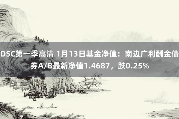 DSC第一季高清 1月13日基金净值：南边广利酬金债券A/B最新净值1.4687，跌0.25%
