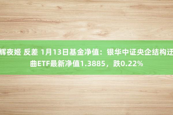 辉夜姬 反差 1月13日基金净值：银华中证央企结构迂曲ETF最新净值1.3885，跌0.22%