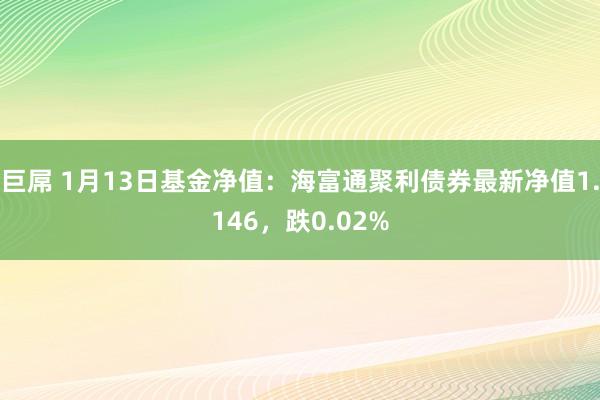 巨屌 1月13日基金净值：海富通聚利债券最新净值1.146，跌0.02%