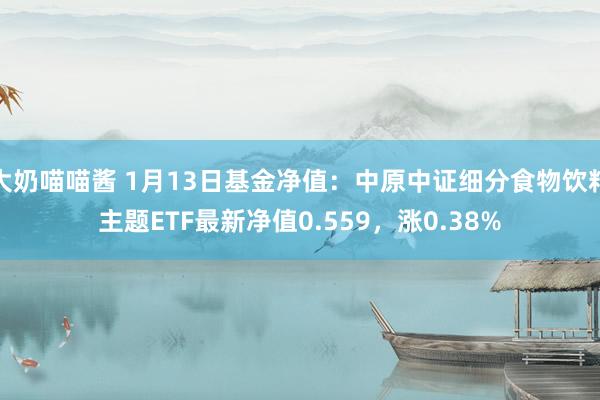 大奶喵喵酱 1月13日基金净值：中原中证细分食物饮料主题ETF最新净值0.559，涨0.38%