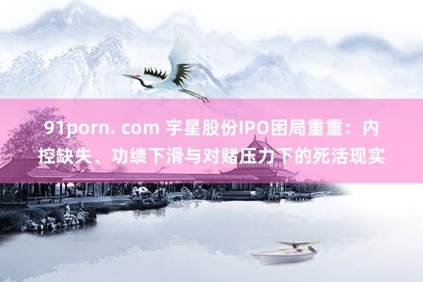 91porn. com 宇星股份IPO困局重重：内控缺失、功绩下滑与对赌压力下的死活现实