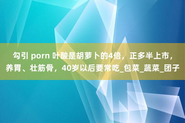 勾引 porn 叶酸是胡萝卜的4倍，正多半上市，养胃、壮筋骨，40岁以后要常吃_包菜_蔬菜_团子