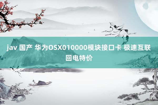 jav 国产 华为OSX010000模块接口卡 极速互联回电特价