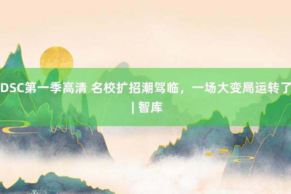DSC第一季高清 名校扩招潮驾临，一场大变局运转了 | 智库