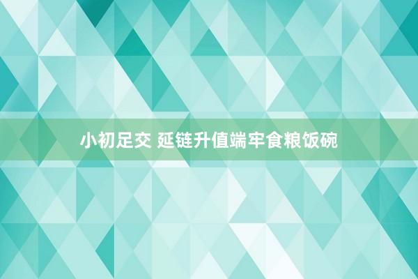 小初足交 延链升值端牢食粮饭碗