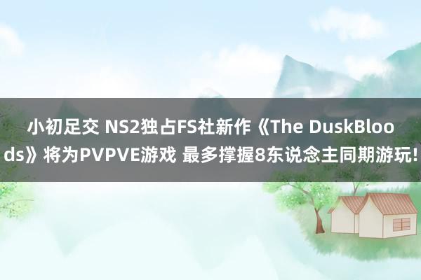 小初足交 NS2独占FS社新作《The DuskBloods》将为PVPVE游戏 最多撑握8东说念主同期游玩!