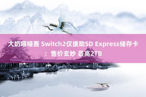 大奶喵喵酱 Switch2仅援助SD Express储存卡：售价玄妙 最高2TB