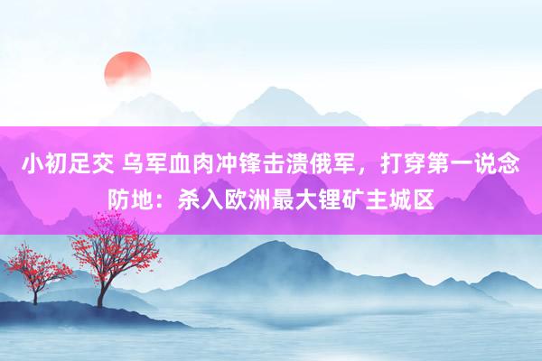 小初足交 乌军血肉冲锋击溃俄军，打穿第一说念防地：杀入欧洲最大锂矿主城区