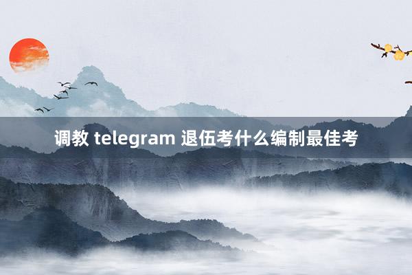 调教 telegram 退伍考什么编制最佳考