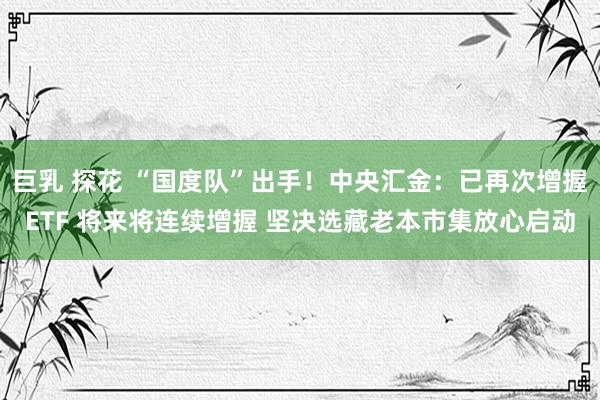 巨乳 探花 “国度队”出手！中央汇金：已再次增握ETF 将来将连续增握 坚决选藏老本市集放心启动