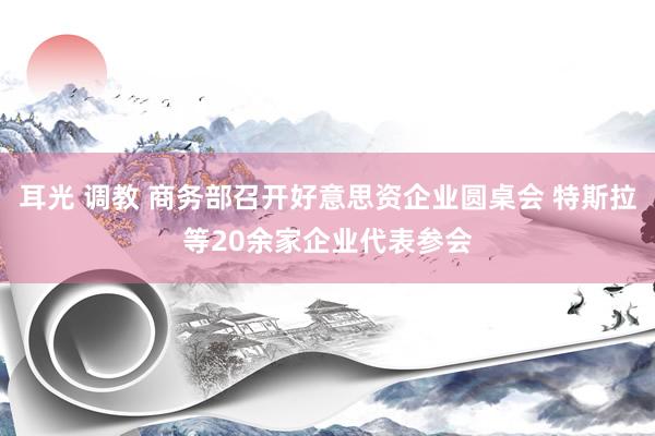 耳光 调教 商务部召开好意思资企业圆桌会 特斯拉等20余家企业代表参会