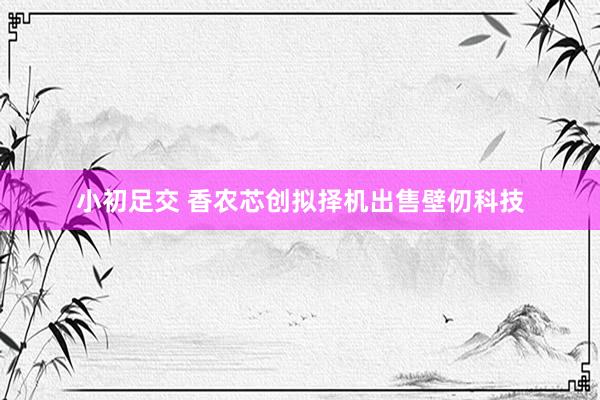 小初足交 香农芯创拟择机出售壁仞科技