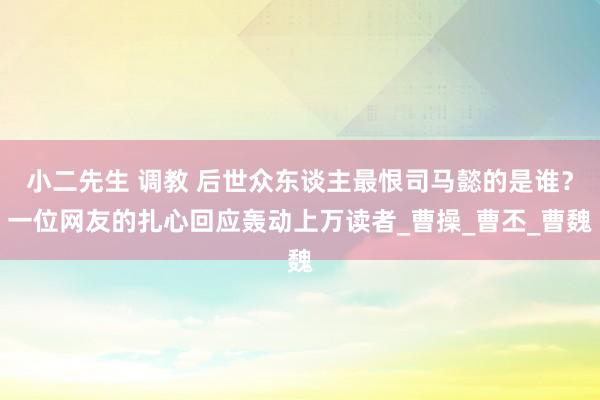 小二先生 调教 后世众东谈主最恨司马懿的是谁？一位网友的扎心回应轰动上万读者_曹操_曹丕_曹魏