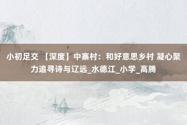 小初足交 【深度】中寨村：和好意思乡村 凝心聚力追寻诗与辽远_水德江_小学_高腾