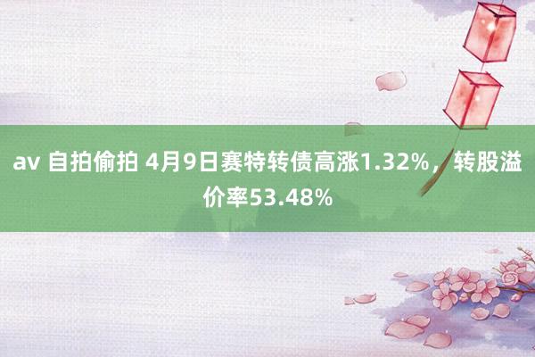 av 自拍偷拍 4月9日赛特转债高涨1.32%，转股溢价率53.48%