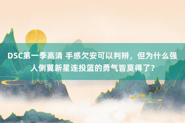 DSC第一季高清 手感欠安可以判辨，但为什么强人侧翼新星连投篮的勇气皆莫得了？