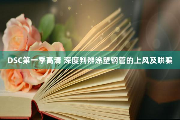 DSC第一季高清 深度判辨涂塑钢管的上风及哄骗