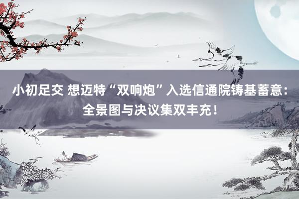 小初足交 想迈特“双响炮”入选信通院铸基蓄意：全景图与决议集双丰充！