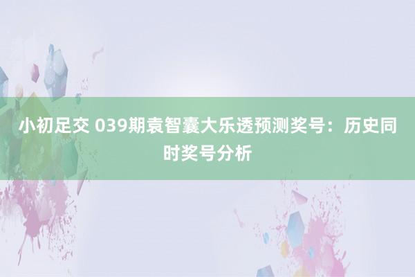 小初足交 039期袁智囊大乐透预测奖号：历史同时奖号分析