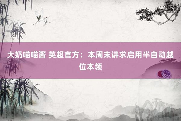 大奶喵喵酱 英超官方：本周末讲求启用半自动越位本领