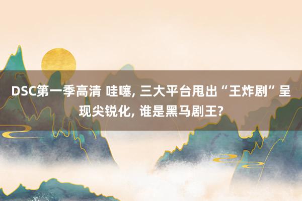 DSC第一季高清 哇噻， 三大平台甩出“王炸剧”呈现尖锐化， 谁是黑马剧王?