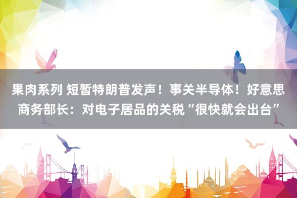 果肉系列 短暂特朗普发声！事关半导体！好意思商务部长：对电子居品的关税“很快就会出台”