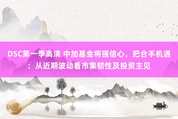 DSC第一季高清 中加基金将强信心，把合手机遇：从近期波动看市集韧性及投资主见