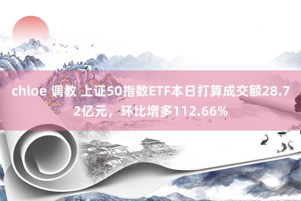 chloe 调教 上证50指数ETF本日打算成交额28.72亿元，环比增多112.66%