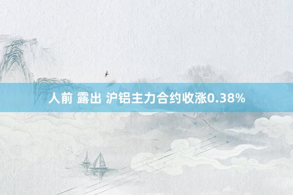 人前 露出 沪铝主力合约收涨0.38%