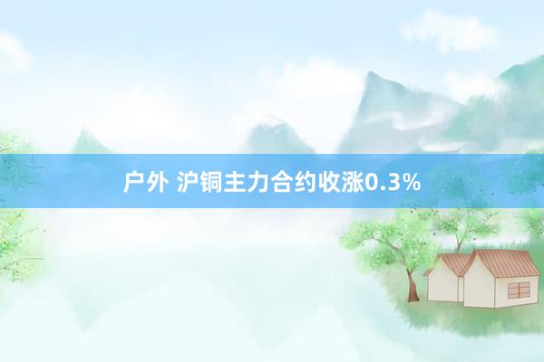 户外 沪铜主力合约收涨0.3%