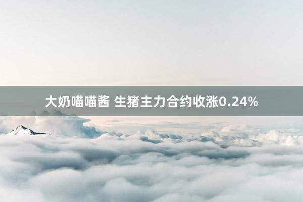 大奶喵喵酱 生猪主力合约收涨0.24%