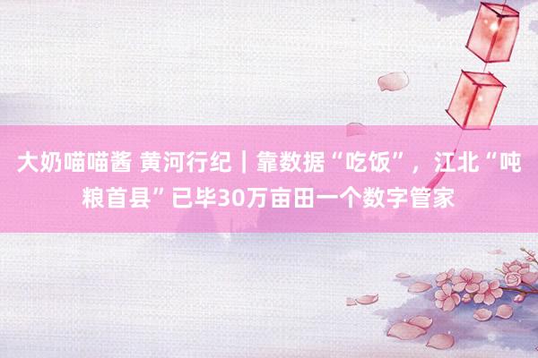 大奶喵喵酱 黄河行纪｜靠数据“吃饭”，江北“吨粮首县”已毕30万亩田一个数字管家