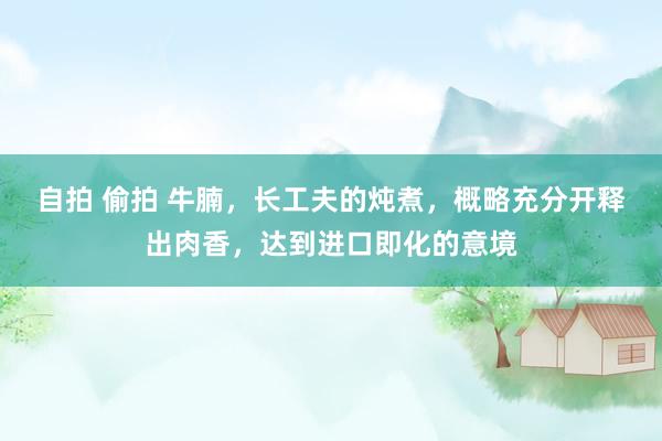 自拍 偷拍 牛腩，长工夫的炖煮，概略充分开释出肉香，达到进口即化的意境