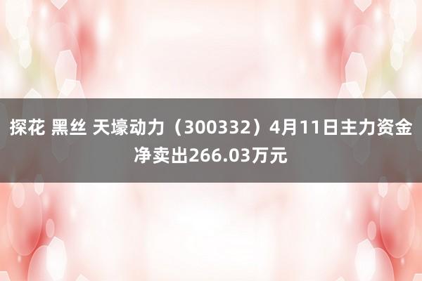 探花 黑丝 天壕动力（300332）4月11日主力资金净卖出266.03万元